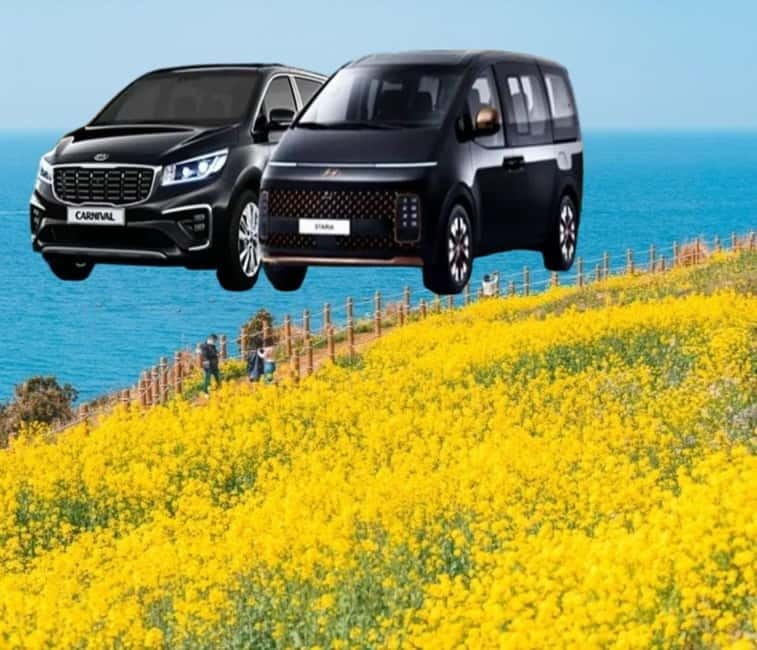 Jeju Island: Private Car Charter Tour - Western Jeju: beaches, cafés, and green tea