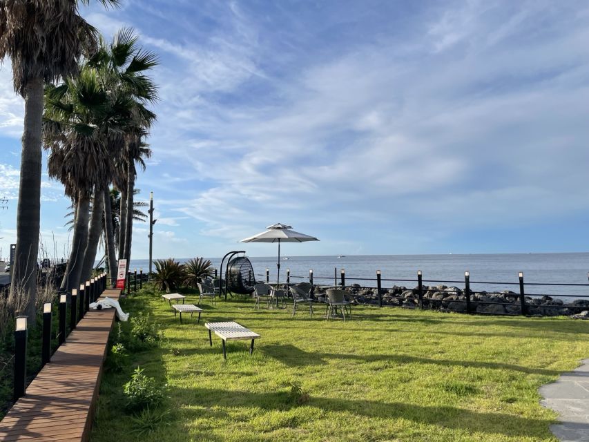 Jeju Island: Private Car Charter Tour - Who should book this Jeju tour?