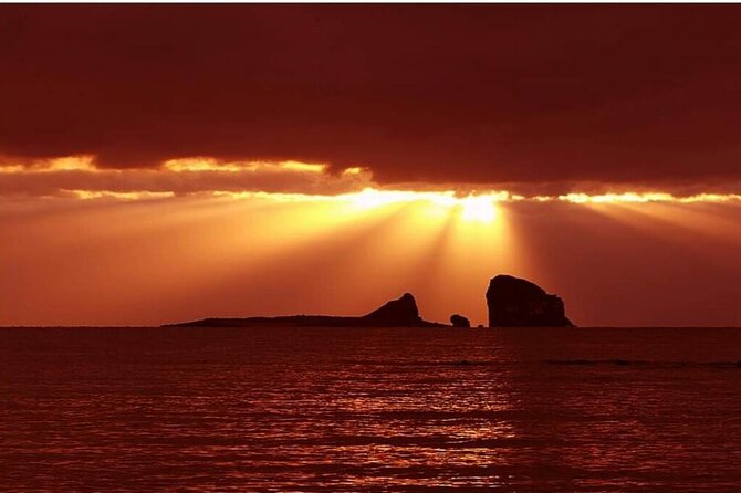 Jeju island private Day tour – west and south of Jeju island - O’sulloc gives you tea, shade, and a change of pace