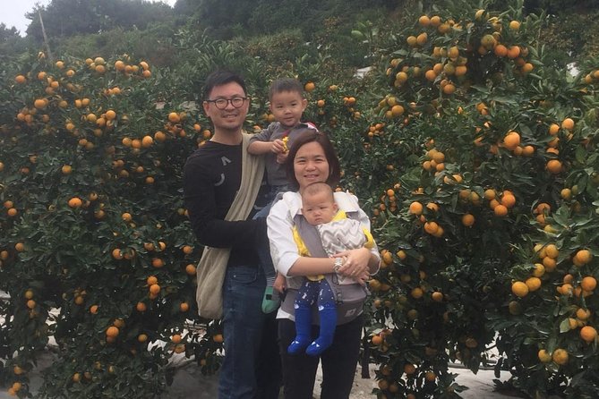 Jeju Island Private Taxi Tour : 2 Full days - The driver can make or break the experience