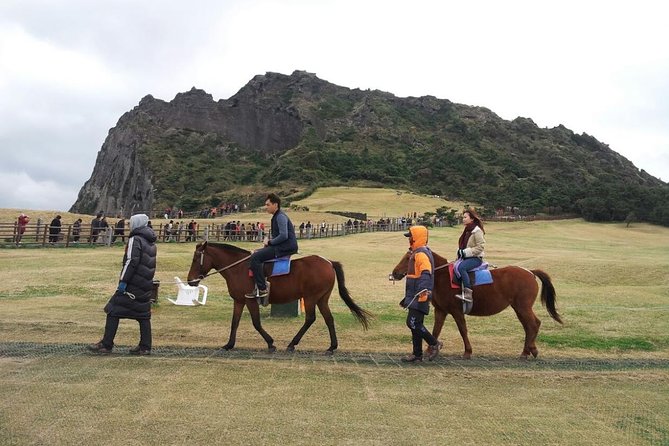 Jeju Island Private Taxi Tour : 2 Full days - Should you book it?