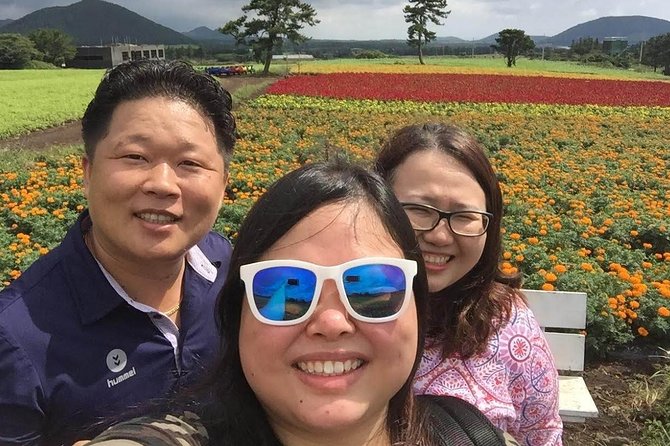Jeju Island Private Taxi Tour : 3 Full days - What the price really includes