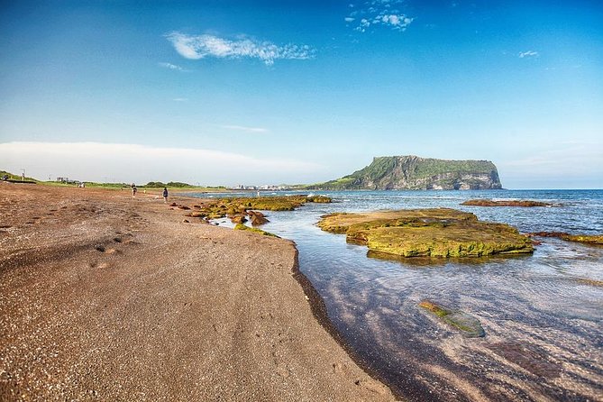 Jeju Island Private Taxi Tour : UNESCO Day Tour - The driver can make or break the day