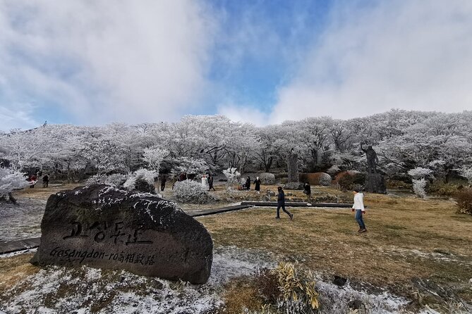 Jeju island Private Tour - UNESCO Day Tour & Haenyeo Performance - Jeju Stone Park and the island’s stone culture