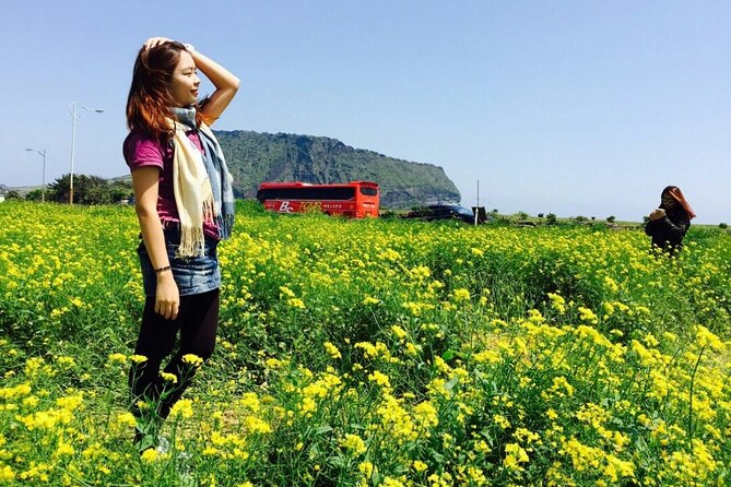 Jeju island Private Tour - UNESCO Day Tour & Haenyeo Performance - Hamdeok Beach, with time for a short pause