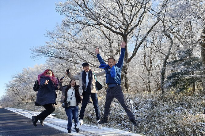 Jeju island Private UNESCO Tour - For Cruise customer - What the private vehicle changes