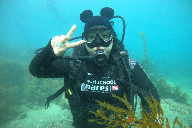 Jeju Island, Seongsan Ilchulbong, Discover Scuba Diving - Who will enjoy this Jeju scuba introduction