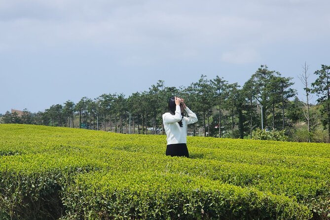 Jeju island Southern UNESCO Day Tour With Hallasan MT - Jusangjeolli Cliff And Jeju’s Volcanic Coast