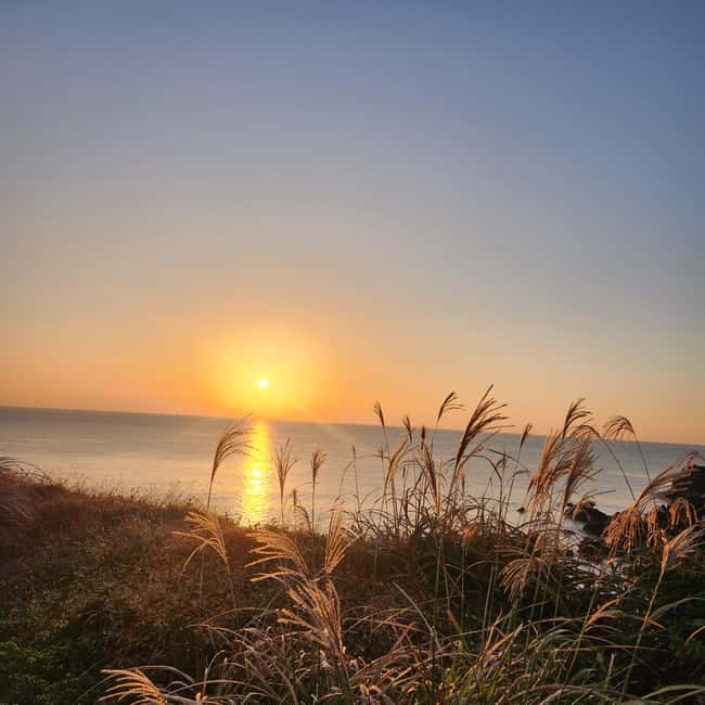 Jeju Island: Sunrise Guided Tour with Hotel Pickup - The jjimjilbang option is more useful than it first sounds