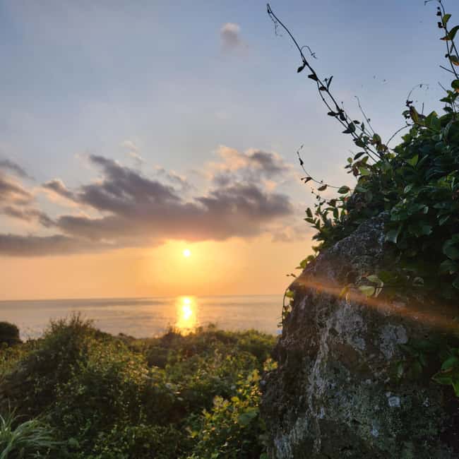Jeju Island: Sunrise Guided Tour with Hotel Pickup - Is $74 a fair price?