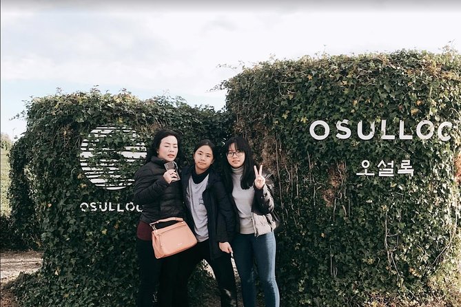 Jeju Island Taxi Tour - West Day Tour - What the driver service adds to the day