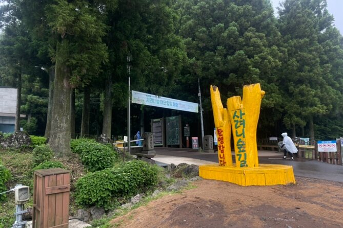 Jeju Island UNESCO Heritage Bus Tour - South and Western Jeju: market food, waterfalls, and flowers