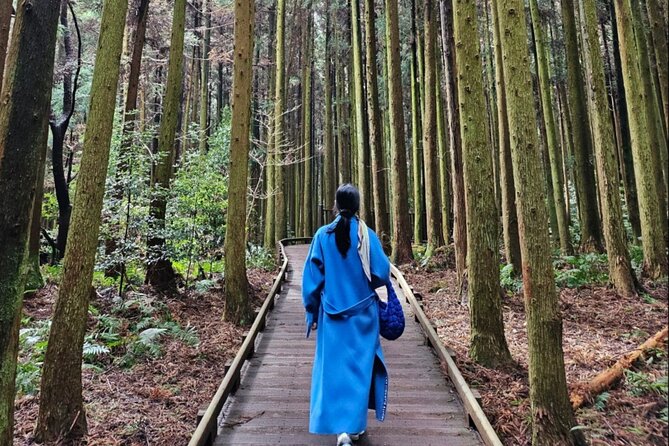 Jeju Island UNESCO Heritage Bus Tour - Who will get the most from this tour
