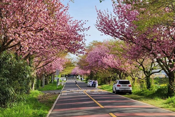 Jeju Island UNESCO small group Join tour(Taxi, van & bus) - Transport, group size, and the eight-hour clock