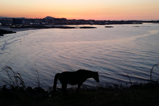 Jeju island: Van tour with a guide who the most loves JEJU - The Optional Saryeoni Forest Path