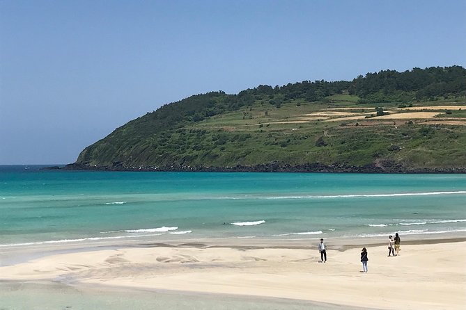 Jeju island: Van tour with a guide who the most loves JEJU - Why the Private Van Matters on Jeju