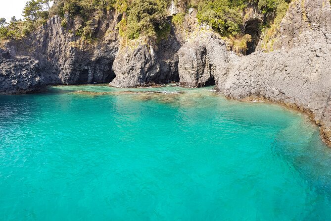 Jeju Luxury Private Tour Including UNESCO Yacht Cruise - Yongmeori Coast gives the day its wild edge