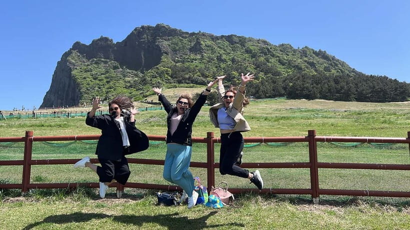 Jeju: Popular Sightseeing Private Car Charter Tour - Who should book this Jeju car charter?