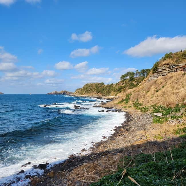 Jeju: Popular Sightseeing Private Car Charter Tour - Why a private car makes sense on Jeju