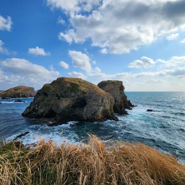 Jeju: Popular Sightseeing Private Car Charter Tour - The real price of the $265 tour