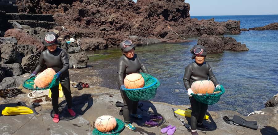 Jeju Premium Small Group UNESCO Day Tour - East - Key points to know before booking
