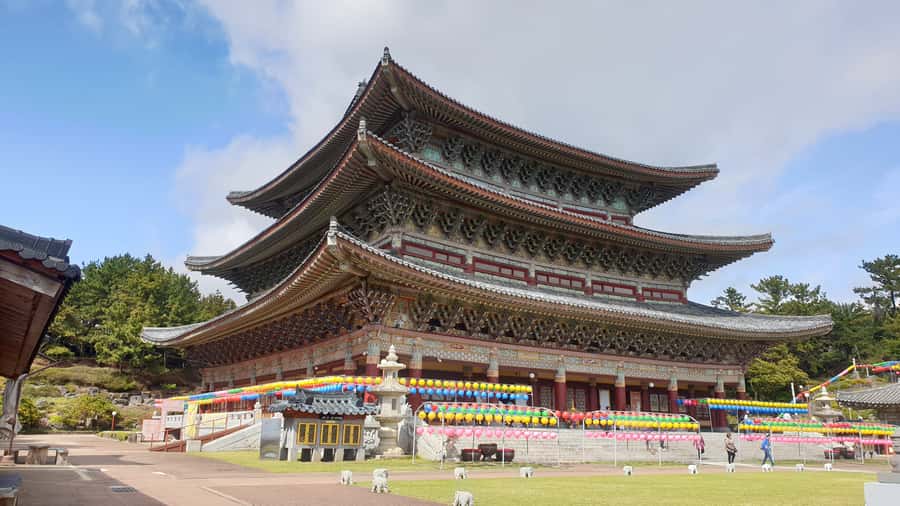 Jeju Premium Small Group UNESCO Day Tour - South - Jusangjeolli Cliff and Jeju’s volcanic coast