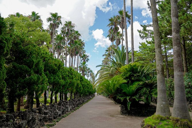 Jeju Premium Small Group UNESCO Day Tour - West Course - Hyeopjae Beach offers a short taste of Jeju’s famous coast