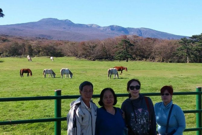 Jeju Private Full day tour of UNESCO Day Tour - Seopjikoji and the eastern coast