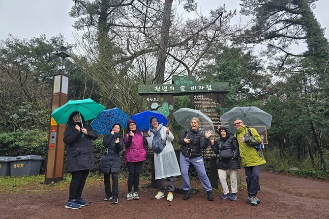 Jeju Private Half-Day Tour for Cruise Customers - Key points at a glance