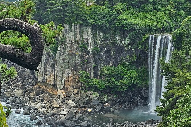 Jeju Private Tour Package-South of Jeju(Mt.Hallasan & Waterfalls) - Eoseungsaengak Trail on Hallasan