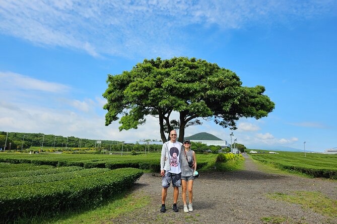 Jeju Private Tour Package-South of Jeju(Mt.Hallasan & Waterfalls) - Jeongbang Falls: Water Straight Into the Sea