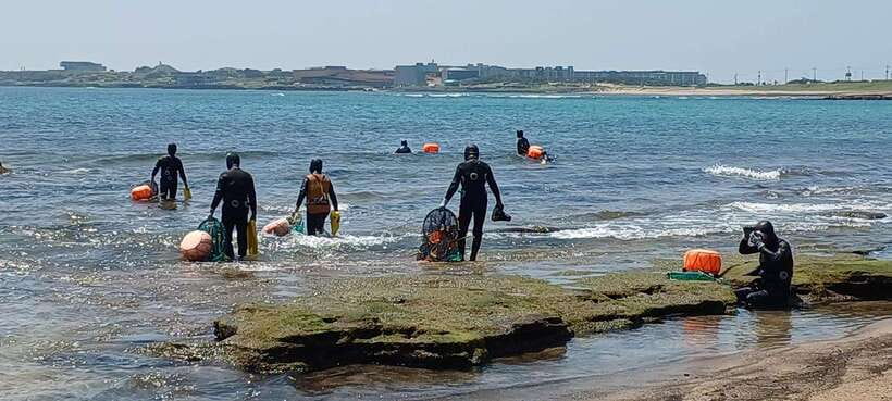 Jeju: Private Tour with an English Guide and a Vehicle - Key Points Before You Book