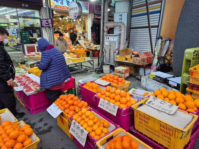 Jeju: Private Tour with an English Guide and a Vehicle - The Guides Are the Main Reason to Choose This Tour