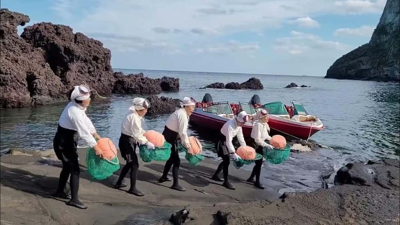 Jeju: Private VIP Day Tour with Tickets - What the guide adds to the day