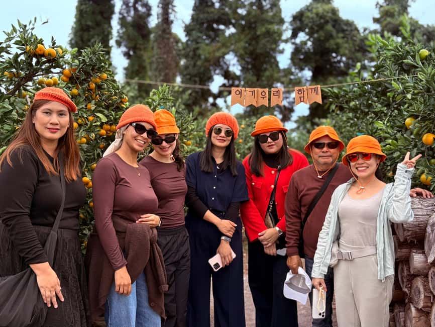 Jeju: Small Group Tour w/Pink Muhly & Tangerine Picking - Silver grass at Saebyeol Oreum