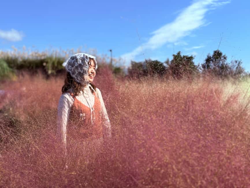 Jeju: Small Group Tour w/Pink Muhly & Tangerine Picking - Why this Jeju day works so well