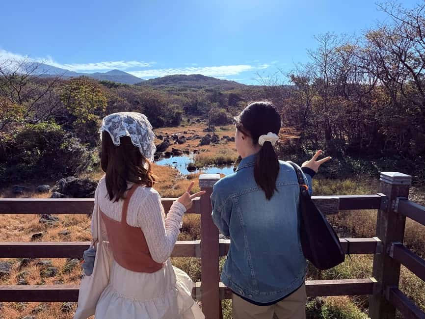 Jeju: Small Group Tour w/Pink Muhly & Tangerine Picking - Cheonjeyeon Falls and the Seonimgyo Bridge