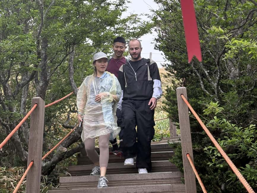 Jeju South: Small Group Healing Tour w/Mt.Halla & Olle Trail - Oedolgae and its local stories