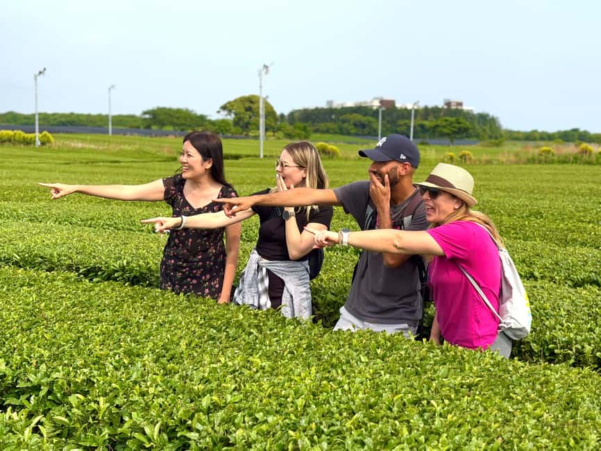 Jeju South: Small Group Healing Tour w/Mt.Halla & Olle Trail - Starting at Hallasan’s forested trail