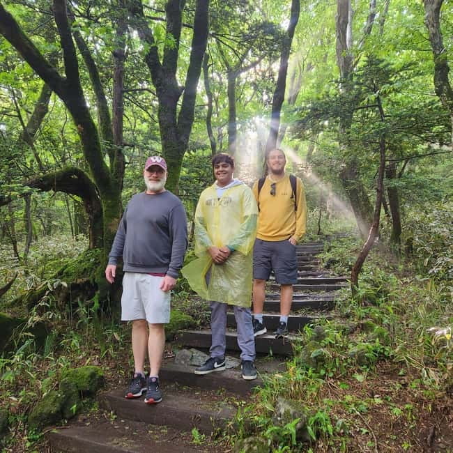 Jeju: Southern Top UNESCO Spots Bus Tour - Camellia Hill through changing seasonal colors