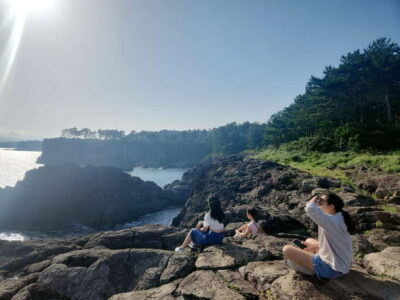 Western and Southern Sightseeing Day Tour