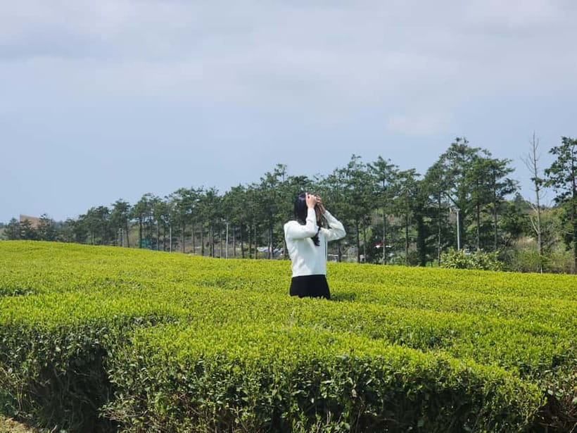 Jeju: Southern Top UNESCO Spots Bus Tour - Lunch at a local restaurant, with the bill separate