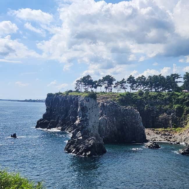 Jeju: Southern Top UNESCO Spots Bus Tour - O’sulloc Tea Museum and Jeju’s green tea finish