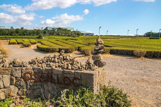 Jeju Southern UNESCO Full Day Tour with Mt.Halla - An efficient route through southern Jeju