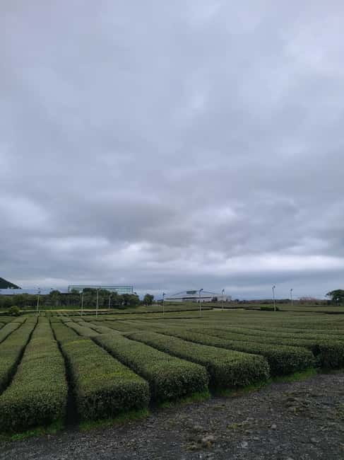 Jeju: Southern UNESCO Geopark Day Tour - How to prepare for a smoother day