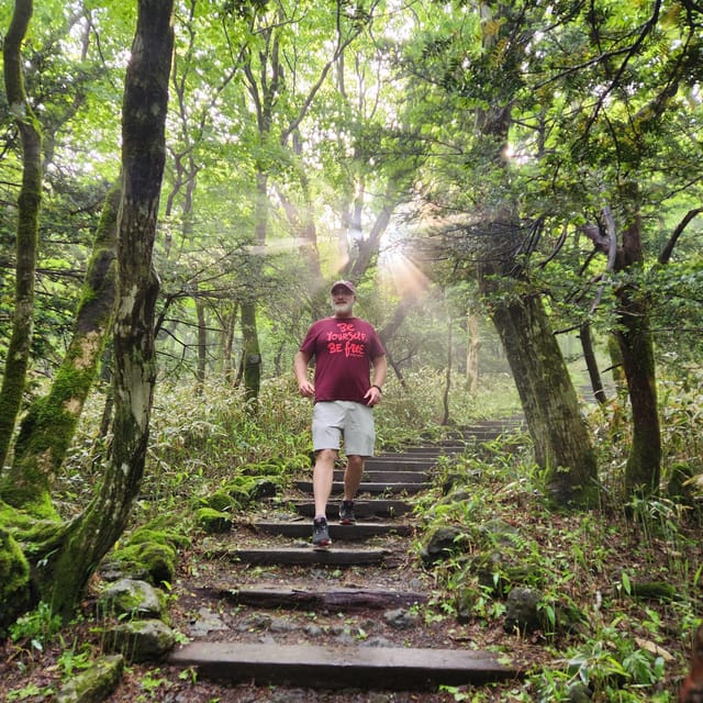 Jeju: Southern UNESCO Geopark Day Tour - O’sulloc Tea Museum ends the route on a gentle note