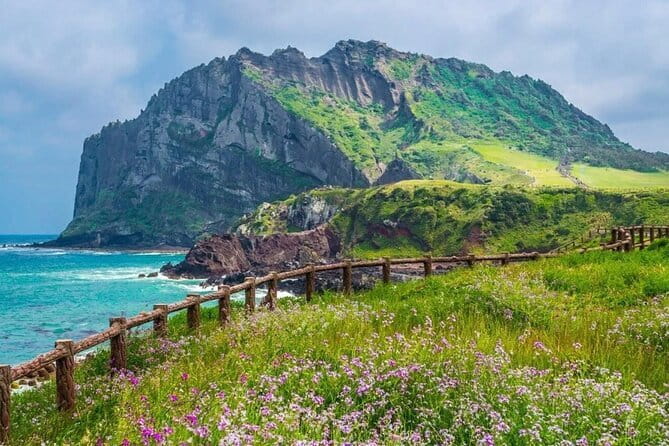 Jeju Unesco Eest course Package Private Van Guided Tour - Following the coast at Seopjikoji
