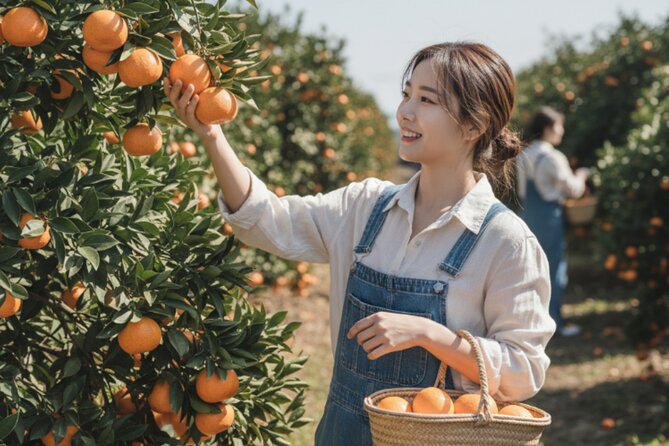 Jeju: UNESCO-Listed Southern Authentic Day Tour - O’sulloc Tea Museum and Jeju’s green tea country