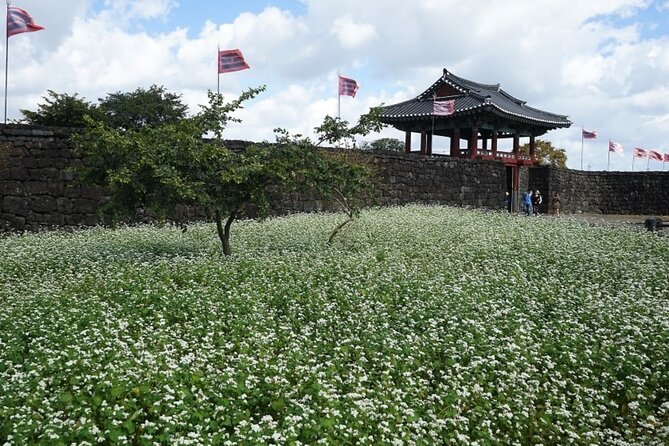Jeju: UNESCO-Listed Southern Authentic Day Tour - Seogwipo Maeil Olle Market for lunch and local flavor