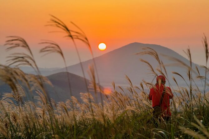 Jeju: UNESCO-Listed Southern Authentic Day Tour - Hueree Natural Life Park and the optional finish